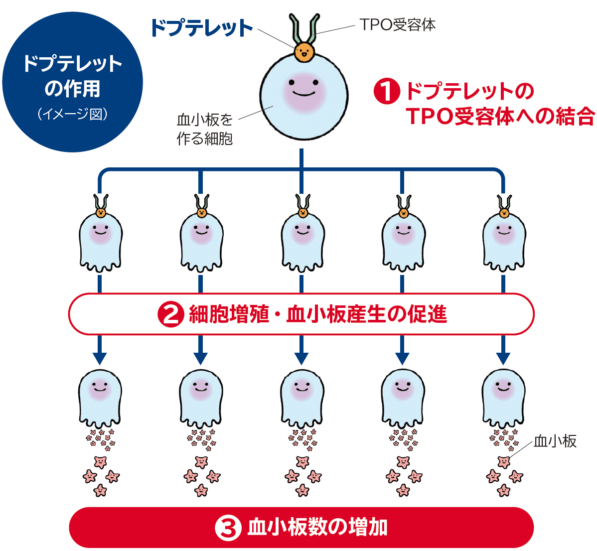 ドプテレットの作用（イメージ図）