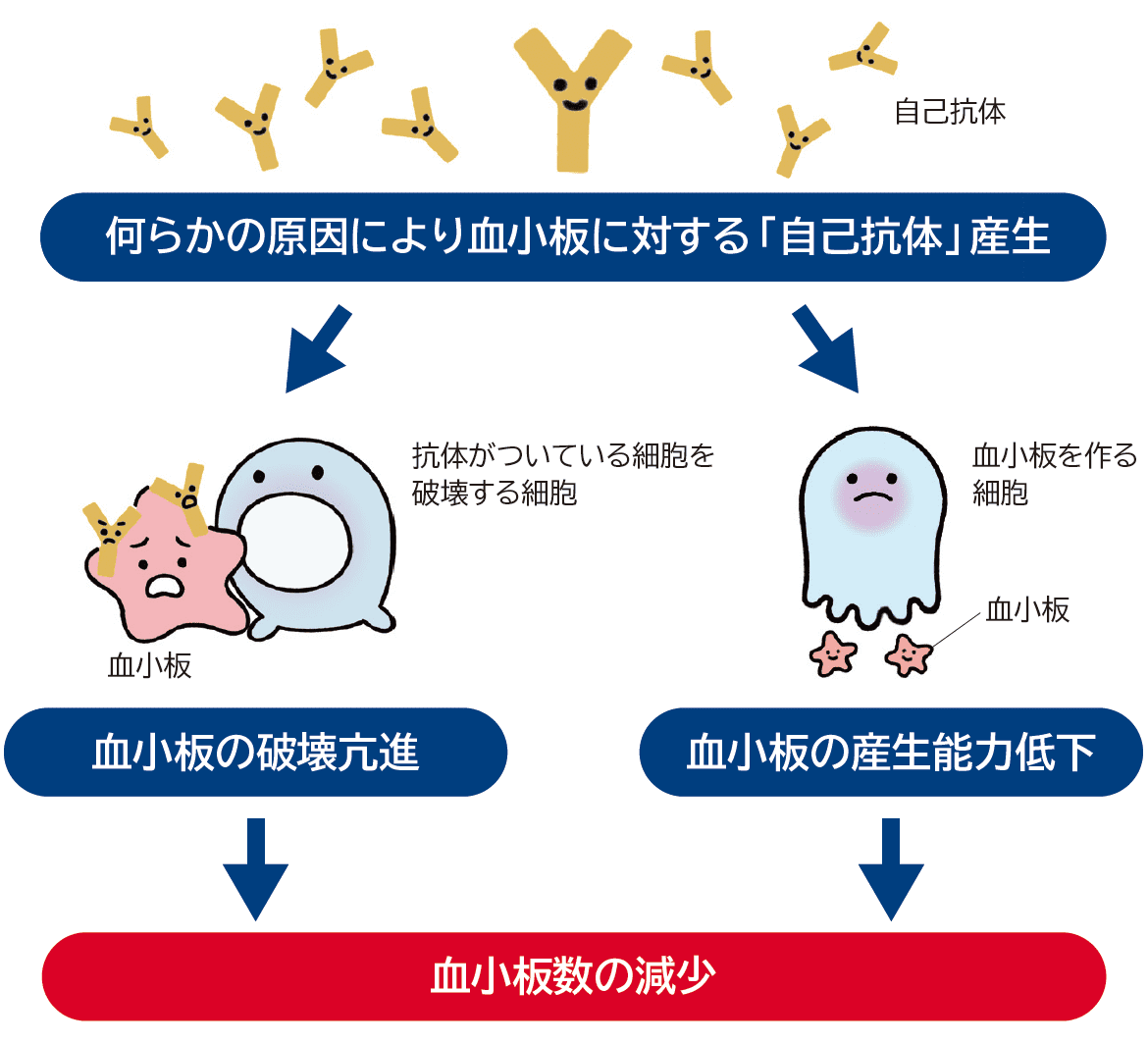 血小板数の減少